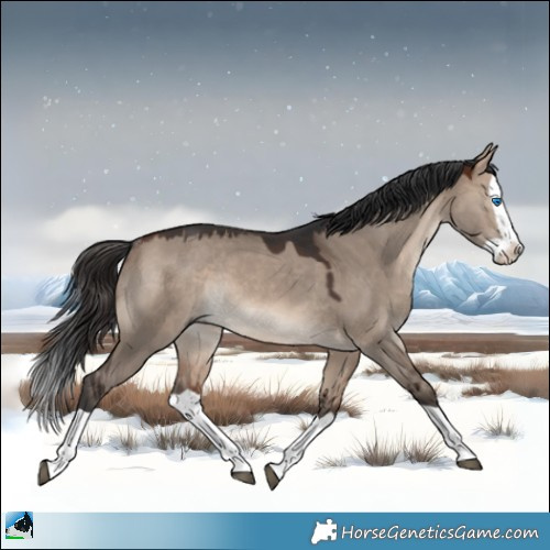 Horse Color:Brown Dun Mushroom Splash Rabicano 