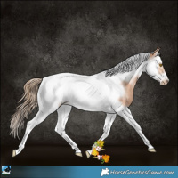 Horse Color:Bay Pearl Splash Tobiano Frame Rabicano 