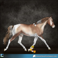 Horse Color:Liver Red Onyx Pearl Tobiano 