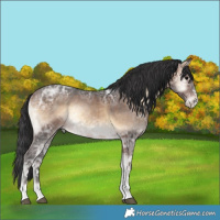 Horse Color:Brown Ice Onyx Sabino 