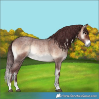 Horse Color:Chocolate Brown Roan Onyx 