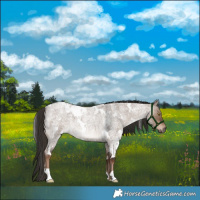 Horse Color:White Spotted Liver Red Dun Roan 