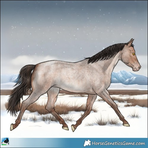 Horse Color:Sable Champagne Roan