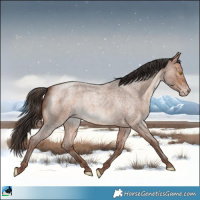 Horse Color:Sable Champagne Roan 