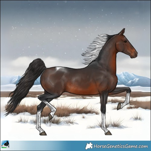 Horse Color:Brown Tobiano Rabicano 
