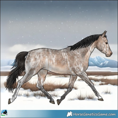 Horse Color:Brown Ice Dun