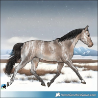 Horse Color:Brown Ice Dun 