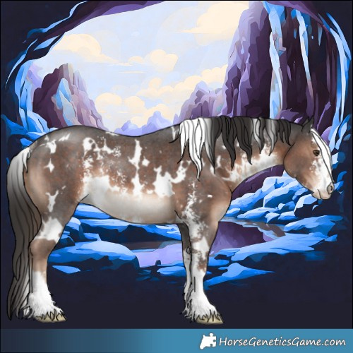 Horse Color:White Spotted Liver Chestnut Sabino Rabicano 