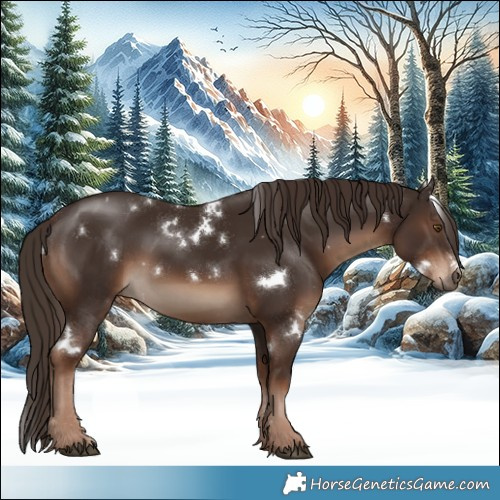Horse Color:White Spotted Liver Chestnut 