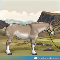 Horse Color:White Spotted Liver Red Dun Tobiano