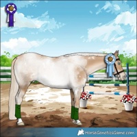 Horse Color:White Spotted Chocolate Palomino Pearl Rabicano