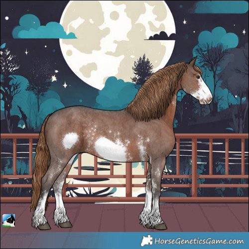 Horse Color:Liver Chestnut Sabino Frame Rabicano