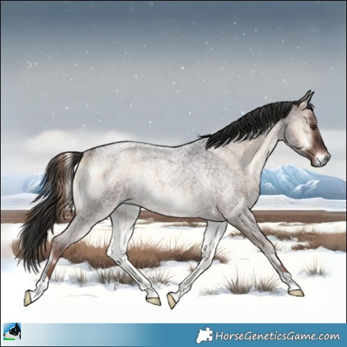 Horse Color:Liver Red Onyx Roan Rabicano