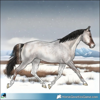 Horse Color:Liver Red Onyx Roan Rabicano 