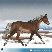 Horse Color:Gray Liver Chestnut Mushroom Tobiano 
