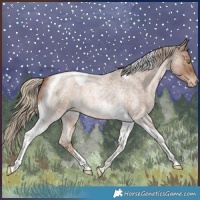 Horse Color:Liver Red Roan Pearl Tobiano 