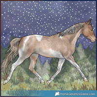 Horse Color:Liver Red Roan Pearl Tobiano 