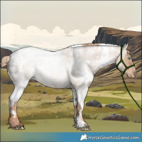 Horse Color:White Spotted Liver Red Dun Roan Pearl 