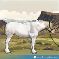 Horse Color:Liver Red Roan Pearl Tobiano 