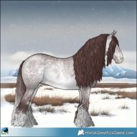 Horse Color:Chocolate Brown Chinchilla Dun Sabino 