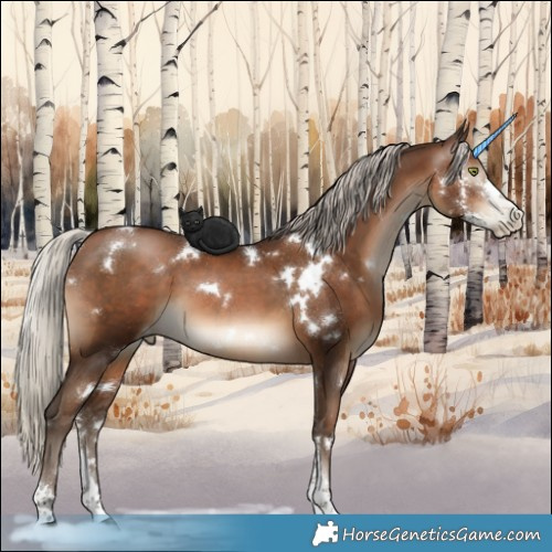 Horse Color:Gray White Spotted Silver Brown Pearl Sabino 