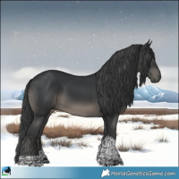 Horse Color:Platinum Black Tobiano Rabicano