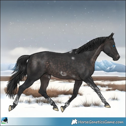 Horse Color:Platinum Brown Tobiano Frame Rabicano