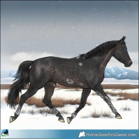 Horse Color:Platinum Brown Tobiano Frame Rabicano