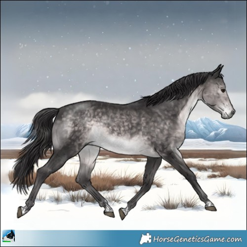 Horse Color:Platinum Buckskin Rabicano 