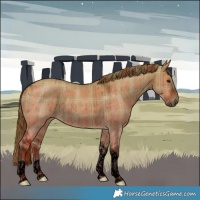 Horse Color:Void Plaid  Liver Red Dun Tobiano Brindle 