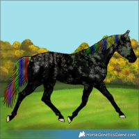 Horse Color:Void Painted Plaid  Liver Red Dun Sabino 
