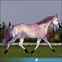 Horse Color:Void Watercolor Plaid  Liver Red Dun Onyx Brindle 
