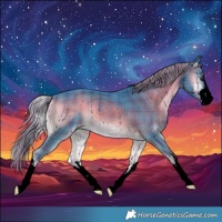 Horse Color:Void Watercolor Plaid  White Spotted Liver Red Onyx 