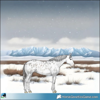Horse Color:Blue Onyx Roan Sabino Blanket Rabicano 