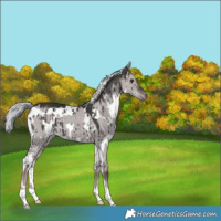 Horse Color:Platinum White Spotted Liver Red Dun Brindle 