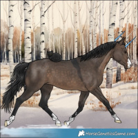 Horse Color:Brown Dun