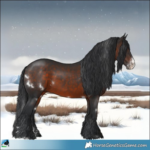 Horse Color:White Spotted Brown Sabino Rabicano