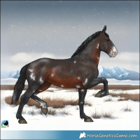 Horse Color:White Spotted Brown Sabino Rabicano 