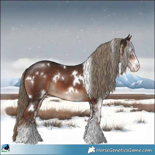 Horse Color:White Spotted Liver Chestnut Rabicano 