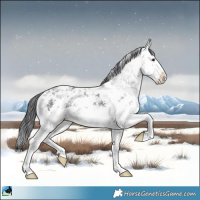Horse Color:White Spotted Black Ice Sabino Splash