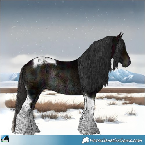 Horse Color:Midnight Bay Ice Onyx Tobiano Rabicano 
