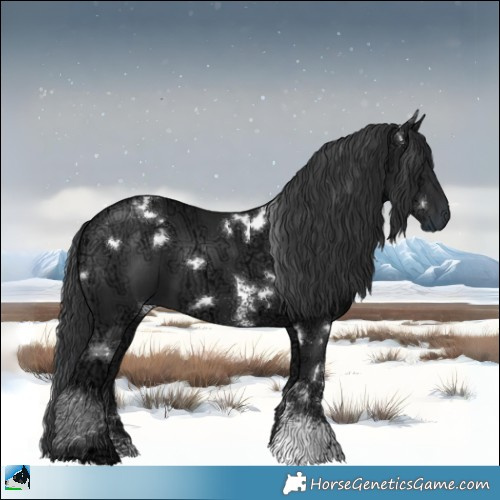 Horse Color:White Spotted Black Ice Sabino Rabicano 
