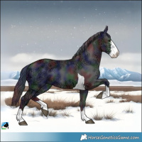 Horse Color:Nacre Black Ice Sabino Tobiano Rabicano 