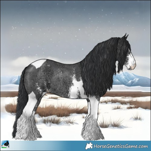 Horse Color:Black Ice Sabino Tobiano Rabicano 