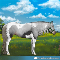Horse Color:Liver Chestnut Mushroom Tobiano 