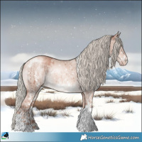 Horse Color:Gold Champagne Dun Mushroom Sabino Rabicano Brindle 