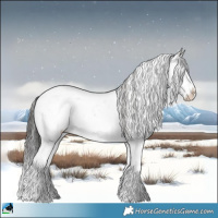 Horse Color:Sable Champagne Dun Mushroom Sabino 