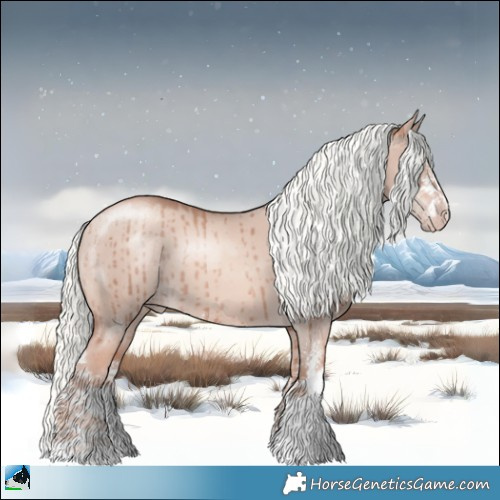 Horse Color:Gold Champagne Dun Mushroom Sabino Brindle 