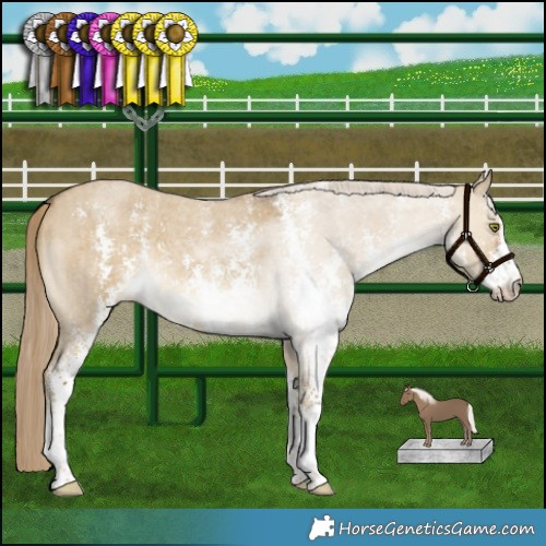Horse Color:Chocolate Palomino Roan Dun Mushroom Sabino 