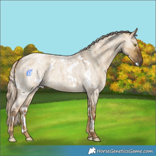 Horse Color:White Spotted Chocolate Palomino Roan Dun Mushroom 